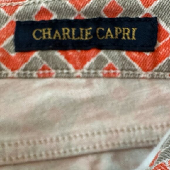 LUCKY BRAND Charlie Capri 4/27 - Picture 10 of 11